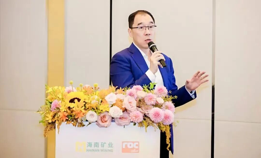 海南礦業(yè)董事長滕磊：借自貿(mào)港政策打通跨境資金鏈 構(gòu)建“海外資源+海南加工”模式