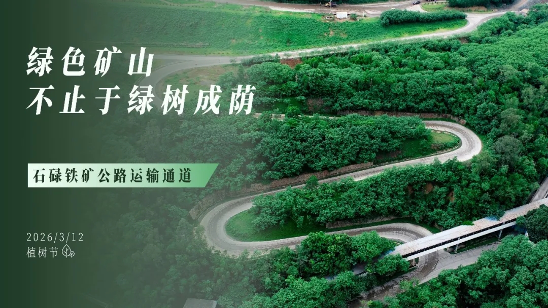 植樹節(jié) | 綠色礦山，不止于綠樹成蔭